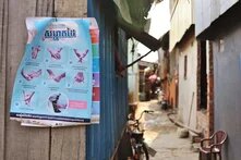 Every day stories of survival during the Covid19 crisis