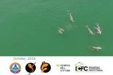 the-cambodian-marine-mammal