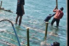 Out At Sea Protecting Cambodia’s Marine Ecosystems