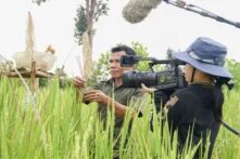 Shooting