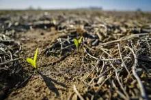 ថែរក្សាដីរបស់យើង