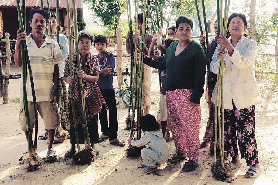 Bamboo Straw