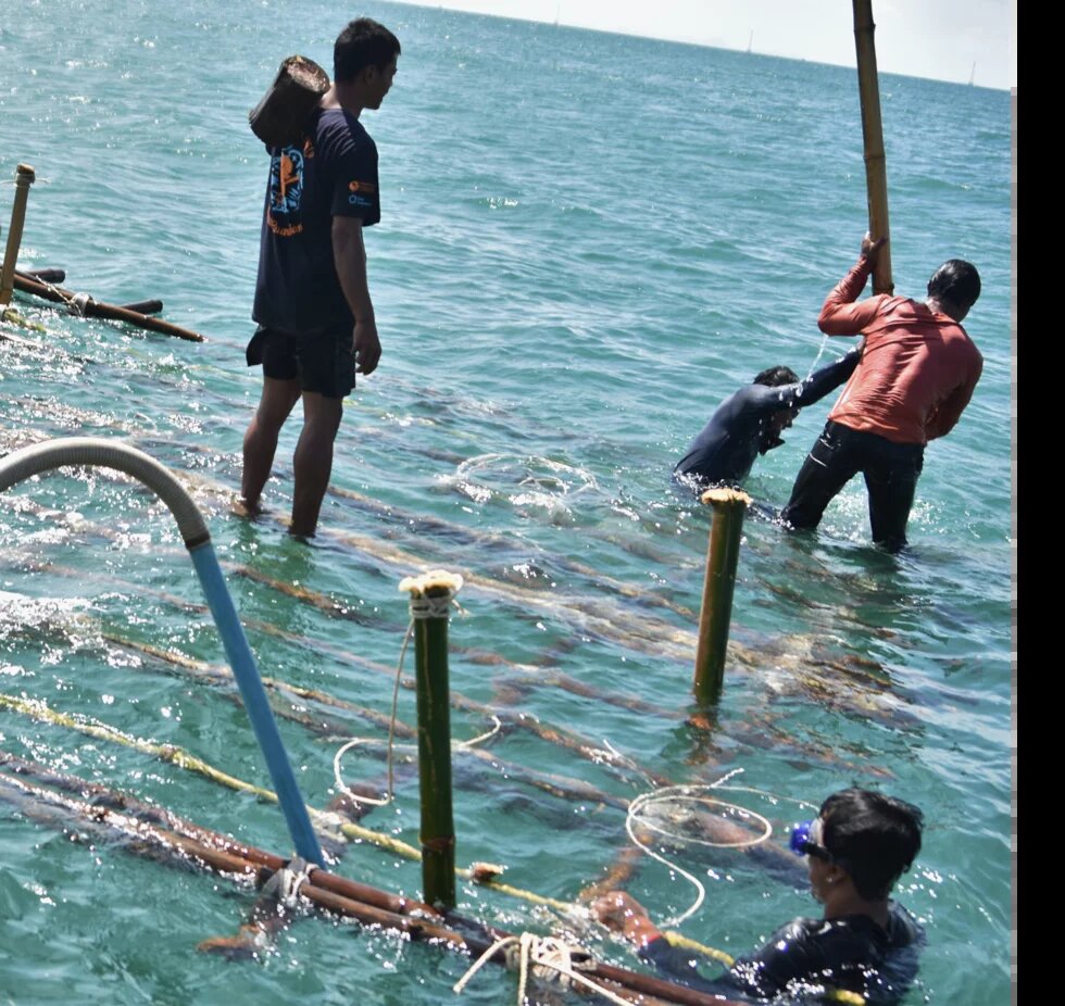 Out At Sea Protecting Cambodia’s Marine Ecosystems