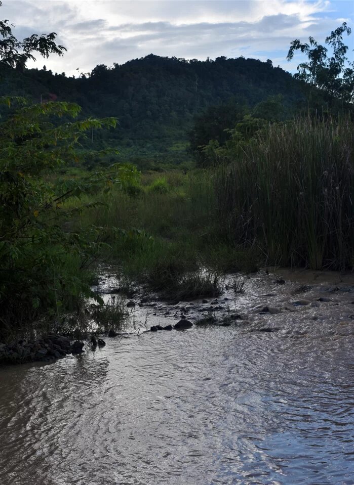 Water flowing 