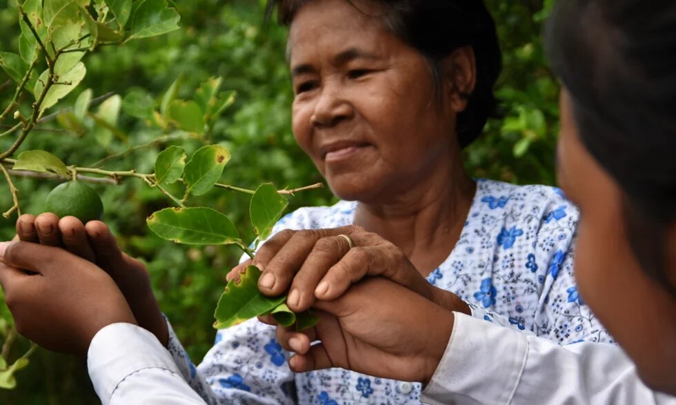 Ear Lath stands in her lime field where she met local students to share her stories from the Khmer Rouge period. 