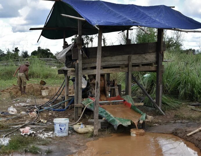 Workers at a family-owned operation 