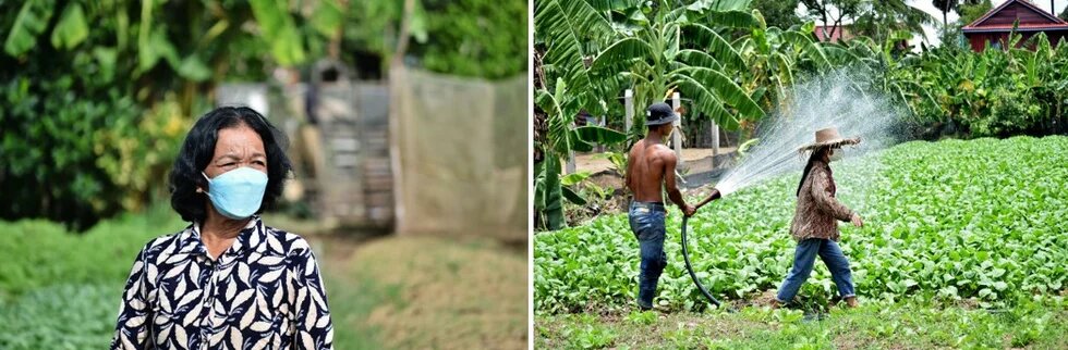Farmers