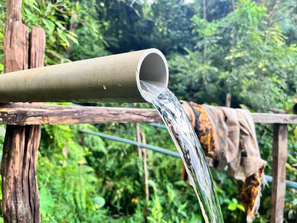 Bamboo pipe