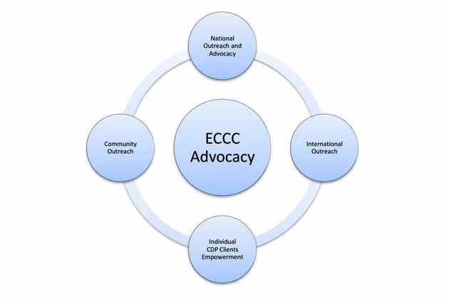 Strategy of the CDP GBV during the KR project