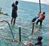 Out At Sea Protecting Cambodia’s Marine Ecosystems