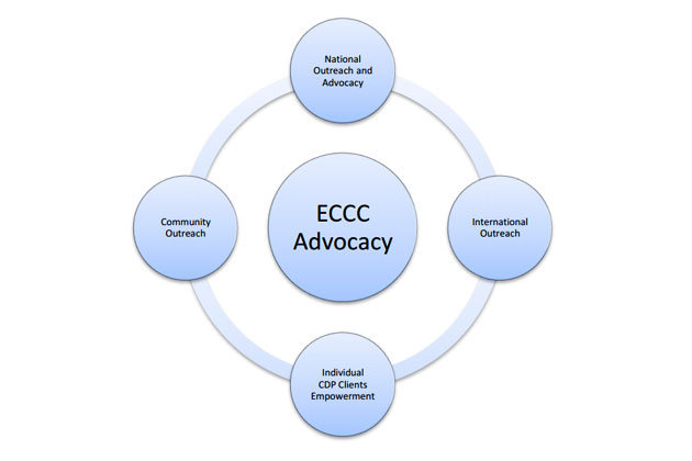 Strategy of the CDP GBV during the KR project Strategy of the CDP GBV during the KR project
